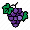 berry, fruit, grape, grapes, wine 