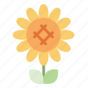 floral, flower, nature, plant, sunflower
