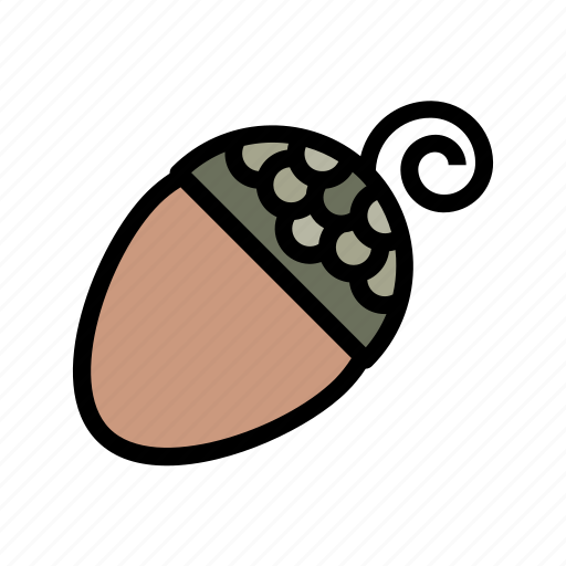 Acorn, autumn, chestnut, nut, oak, seed icon - Download on Iconfinder