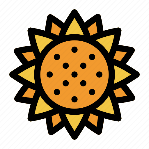 Sunflower, flower, nature, plant, blossom icon - Download on Iconfinder