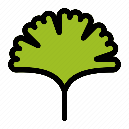 Ginko, green, nature, plant, leaf icon - Download on Iconfinder