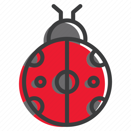 Autumn, bug, fall, insect, ladybug, spring icon - Download on Iconfinder