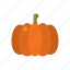 autumn, food, helloween, orange, pumpkin, season, thanksgiving 