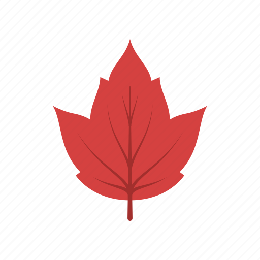Autumn, canada, leaf, leave, nature, red maple, season icon - Download on Iconfinder