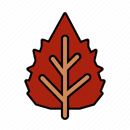 Birch, leaf, nature, plant icon - Download on Iconfinder