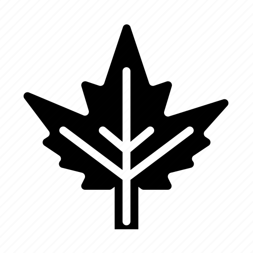 Leaf, maple, nature, plant icon - Download on Iconfinder