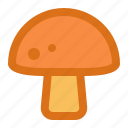 mushroom, food, fruit, cooking
