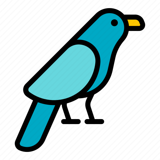 Bird, nature, wildlife, animal, wild, wings, sky icon - Download on Iconfinder
