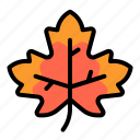 maple, leaf, red, nature, canada, fall, season