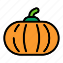 pumpkin, halloween, autumn, season, vegetable, food, fall