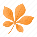 leaf, nature, ecology, leaves, plant, environment