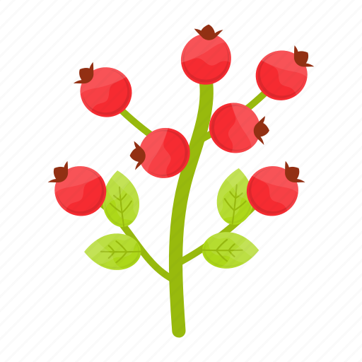 Berry, red, plant, cherry, cranberry, dry rose, nature icon - Download on Iconfinder
