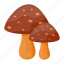 mushroom, vegetable, healthy, fresh, autumn 