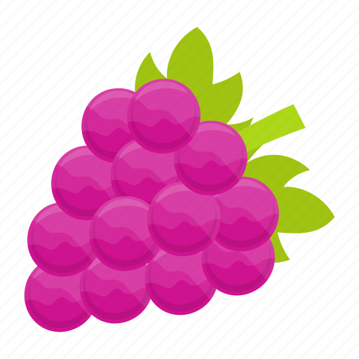 Grapes, purple, bunch of grapes, fruit, healthy, fresh, organic icon - Download on Iconfinder