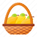fruits, basket, bucket, pears, pineapple