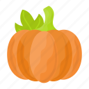pumpkin, autumn, vegetable, healthy, fruit, food