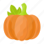 pumpkin, autumn, vegetable, healthy, fruit, food 
