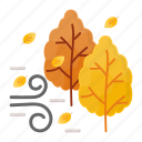 oak tree, maple tree, acer, wind, breeze, autumn
