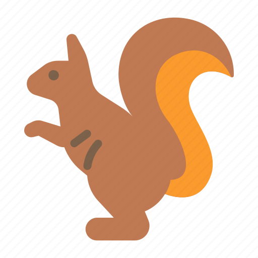 Squirrel, animal, rodent, wild, wildlife, tail, nature icon - Download on Iconfinder