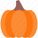 pumpkin, autumn, season, vegetable, food, harvest, fall, agriculture, nature