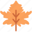 maple, leaf, nature, fall, season, tree, autumn, foliage, forest 