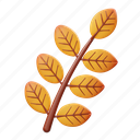 ash, leaf