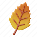 elm, leaf, fall, season, leaves, nature, autumn, thanksgiving, holiday