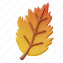 hawthorn, leaf, fall, season, leaves, nature, autumn, thanksgiving, maple