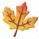 maple, leaf, fall, season, leaves, nature, autumn, thanksgiving, holiday