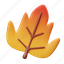 fall, leaf, season, leaves, nature, autumn, thanksgiving, tree, ecology 