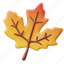 maple, leaf, fall, season, leaves, nature, autumn, thanksgiving, holiday 