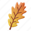 oak, leaf, fall, season, leaves, nature, autumn, thanksgiving, holiday 