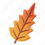 sumac, leaf, fall, season, leaves, nature, autumn, thanksgiving, tree 