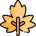 maple leaf, leaf, fall, autumn, nature, season