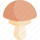 mushroom, fungi, vegetable, fungus
