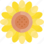sunflower, flower, petal, blossom 