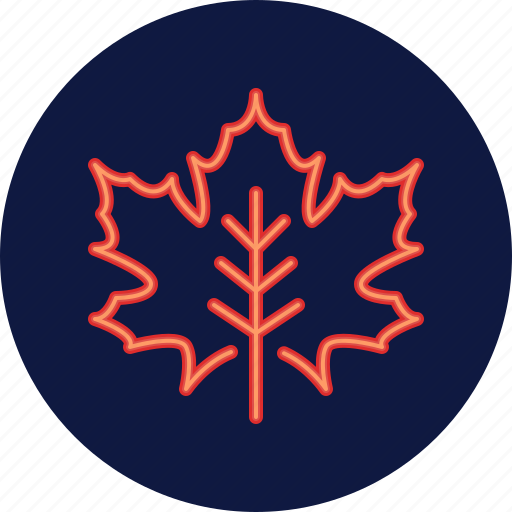 Maple, leaf, autumn, fall, season, nature, plant icon - Download on Iconfinder