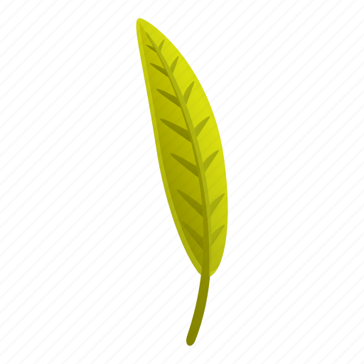 Autumn, green, leaf icon - Download on Iconfinder