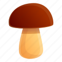 autumn, mushroom