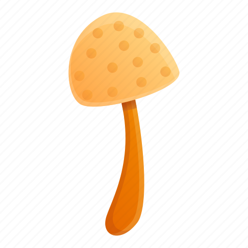 Autumn, white, mushroom icon - Download on Iconfinder