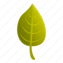 green, tree, leaf