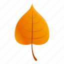 brown, autumn, leaf