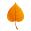 brown, autumn, leaf 