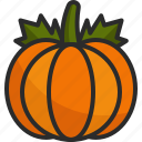 pumpkin, autumn, food, vegetable, organic, healthy