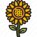 sunflower, flower, blossom, nature, botanical