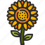 sunflower, flower, blossom, nature, botanical 