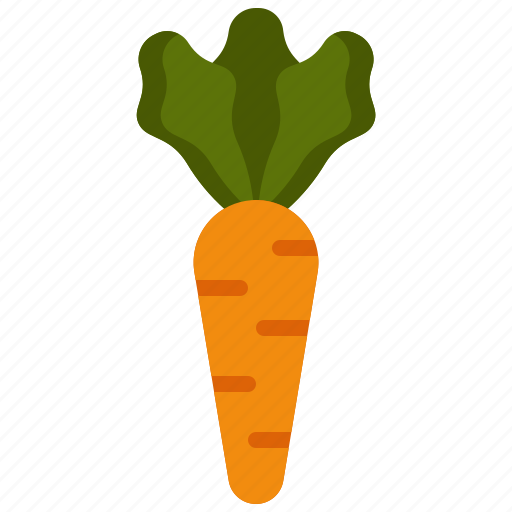 Carrot, vegetable, organic, vegan, healthy, food, vegetarian icon - Download on Iconfinder
