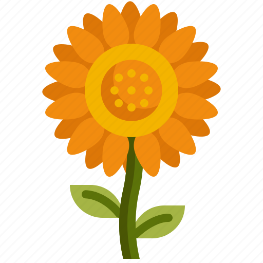 Sunflower, flower, blossom, nature, botanical icon - Download on Iconfinder