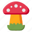 mushroom, plant, fungus 
