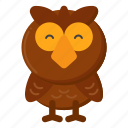 owl, animal, bird